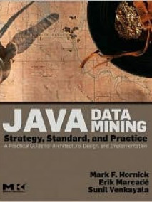 Java Data Mining: Strategy, Standard, and Practice: A Practical Guide for architecture, design, and implementation