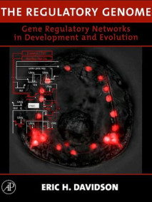 Regulatory Genome: Gene Regulatory Networks In Development and Evolution