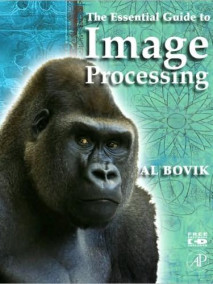 Essential Guide to Image Processing
