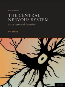 Central Nervous System,  4/Ed