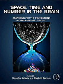 Space, Time and Number in the Brain: Searching for the Foundations of Mathematical Thought