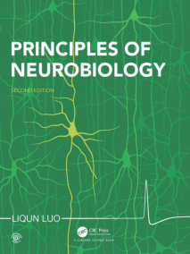 Principles of Neurobiology, 2/Ed