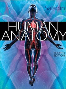 Human Anatomy, 4/Ed