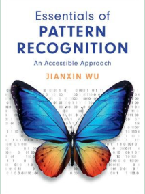 Essentials of Pattern Recognition An Accessible Approach