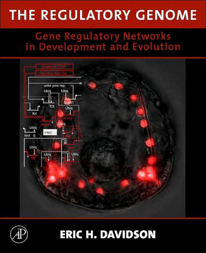 Regulatory Genome: Gene Regulatory Networks In Development and Evolution