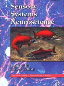 Sensory Systems Neuroscience: Fish Physiology, Vol. 25