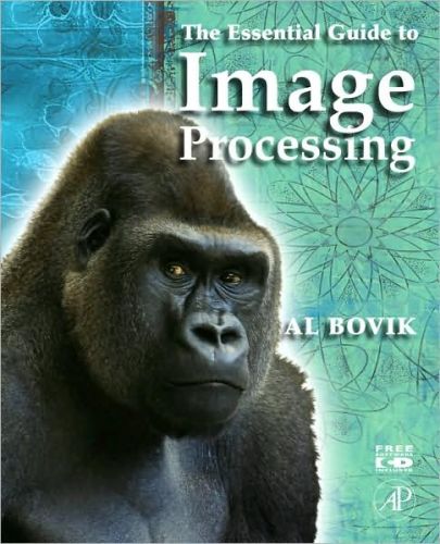 Essential Guide to Image Processing