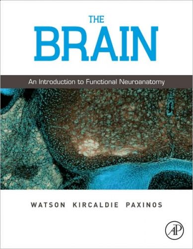 Brain: An Introduction to Functional Neuroanatomy