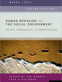 Human Behavior and the Social Environment, Macro Level: Groups, Communities, and Organizations, 2/Ed