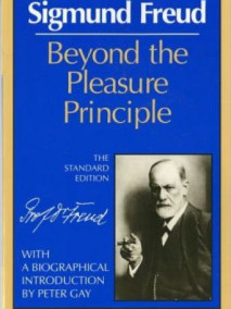 Beyond the Pleasure Principle