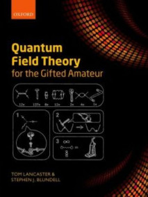 Quantum Field Theory for the Gifted Amateur