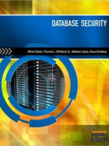 Database Security